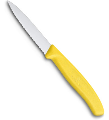 Victorinox coltello...