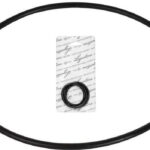 Lagostina guarnizione pentola pressione silicone 22cm