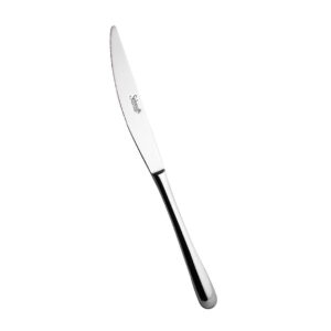 Salvinelli Princess, set 12 coltello tavola acciaio forgiato