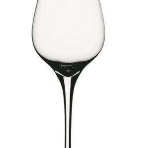 Spiegelau authentis, set 12 calici digestivo cl 17  finissimo vetro cristallino