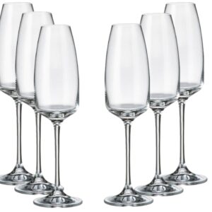 Fade Anser set 6 calice flutè cl 29 in fine cristallo crystalite bohemia