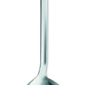 Ghidini Daily, Schiumaiola, unipezzo in acciaio inox
