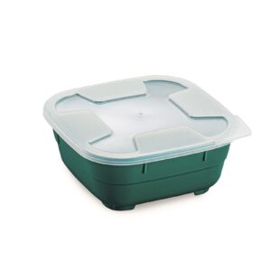 Thermohauser, set da 5 contenitori goodbowl da 550 ml, verde