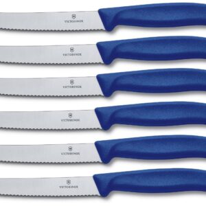 Victorinox set 6 coltello da tavola blu dentato punta tonda qualità extra