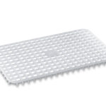 Giganplast rete per cassette service cm 55.5x36x2 in polipropilene