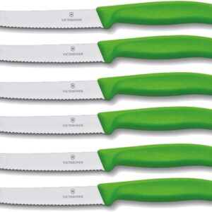 Victorinox set 6 coltello da tavola verde dentato punta tonda qualità extra