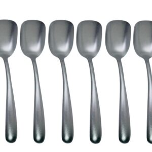 Salvinelli Forever Ice, set 6 paletta gelato in acciaio 18/10, trattamento pvd