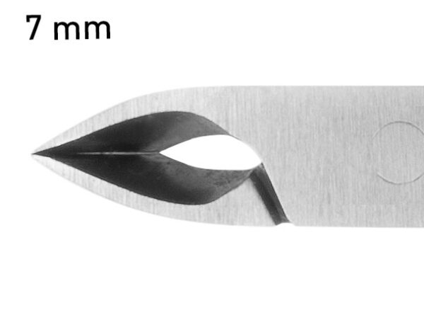 ART 37913