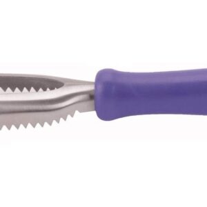 Icel squama pesce cm 27, manico nylon professionale in acciaio inox