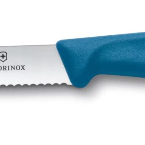 Victorinox coltello da tavola Blueberry Blue, dentato punta tonda
