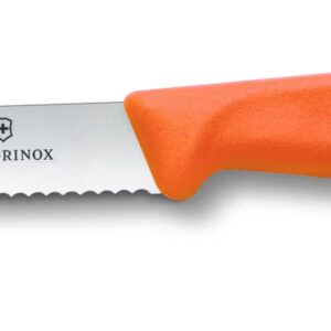Victorinox coltello da tavola Arancio dentato punta tonda