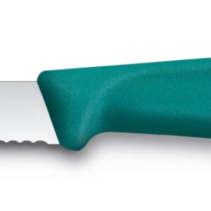 Victorinox coltello cm 8 spelucchino New Verde lama dentata