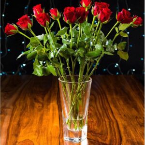 ART 43353
